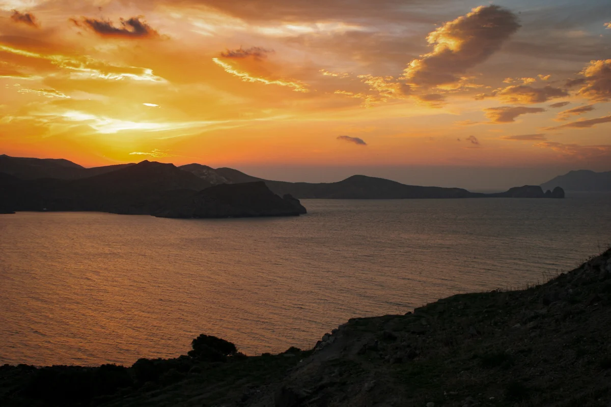 MILOSWEB final-14.jpg