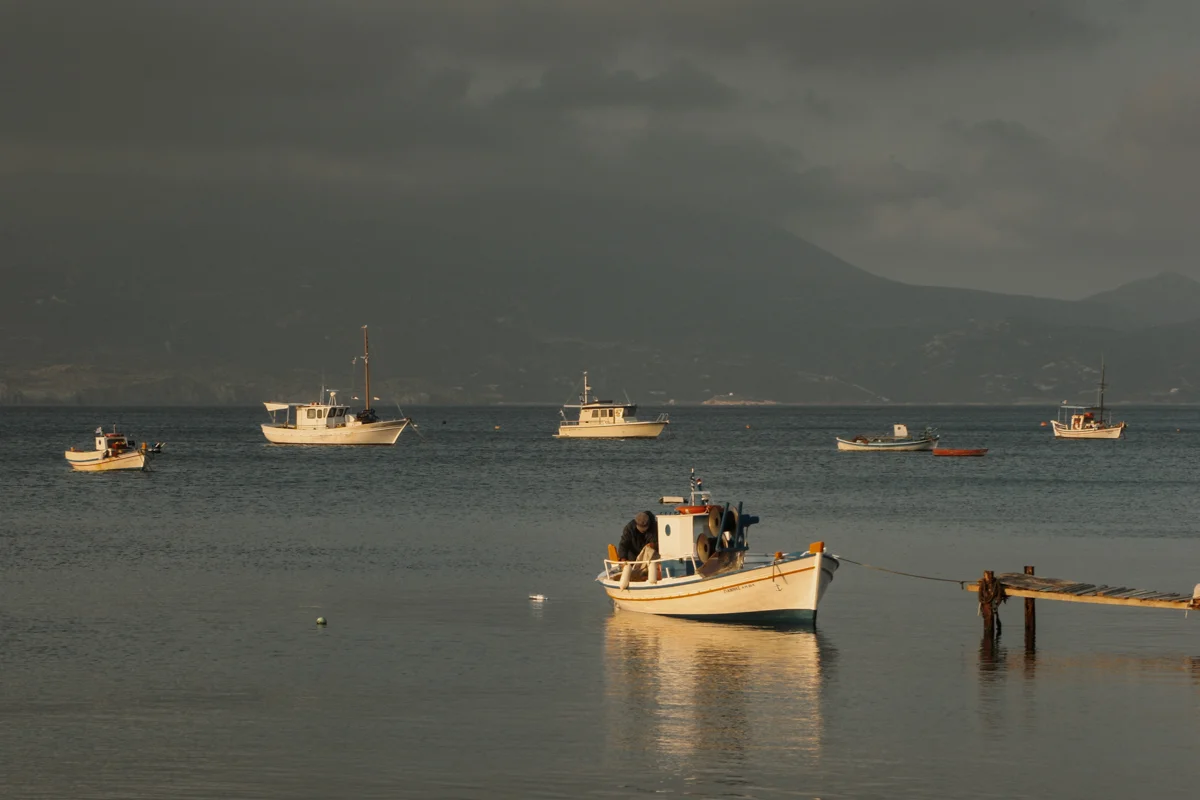 MILOSWEB final-30.jpg