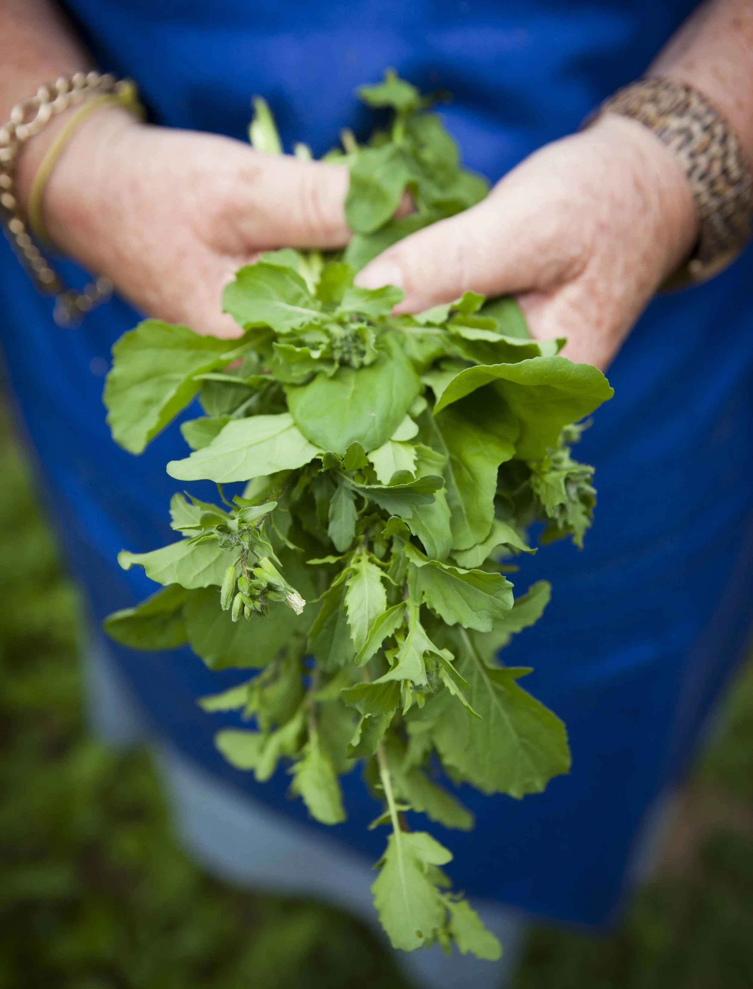 Capturing herbs during a food and travel photography workshop