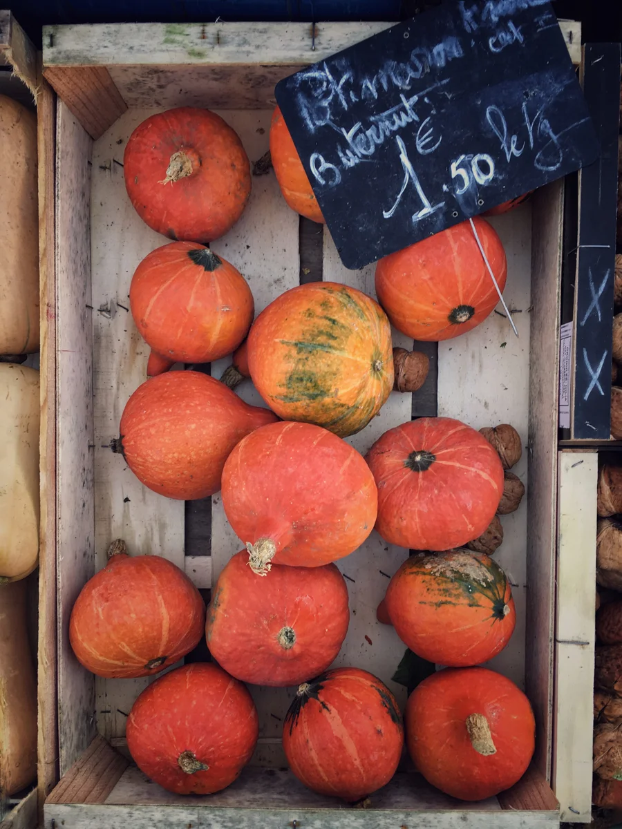 Tim Clinch Photography Potimarron At Nerac Market Gascony France
