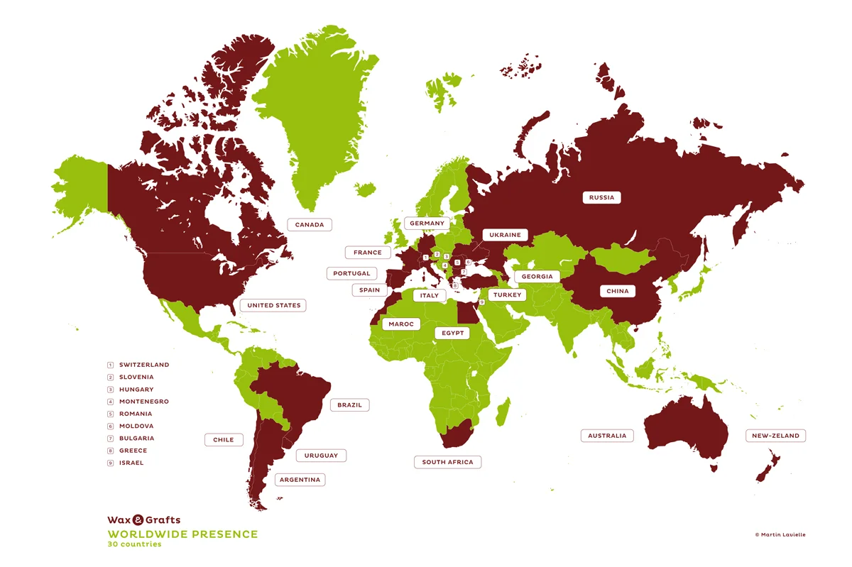 Wax and Grafts is world established in more than 30 countries