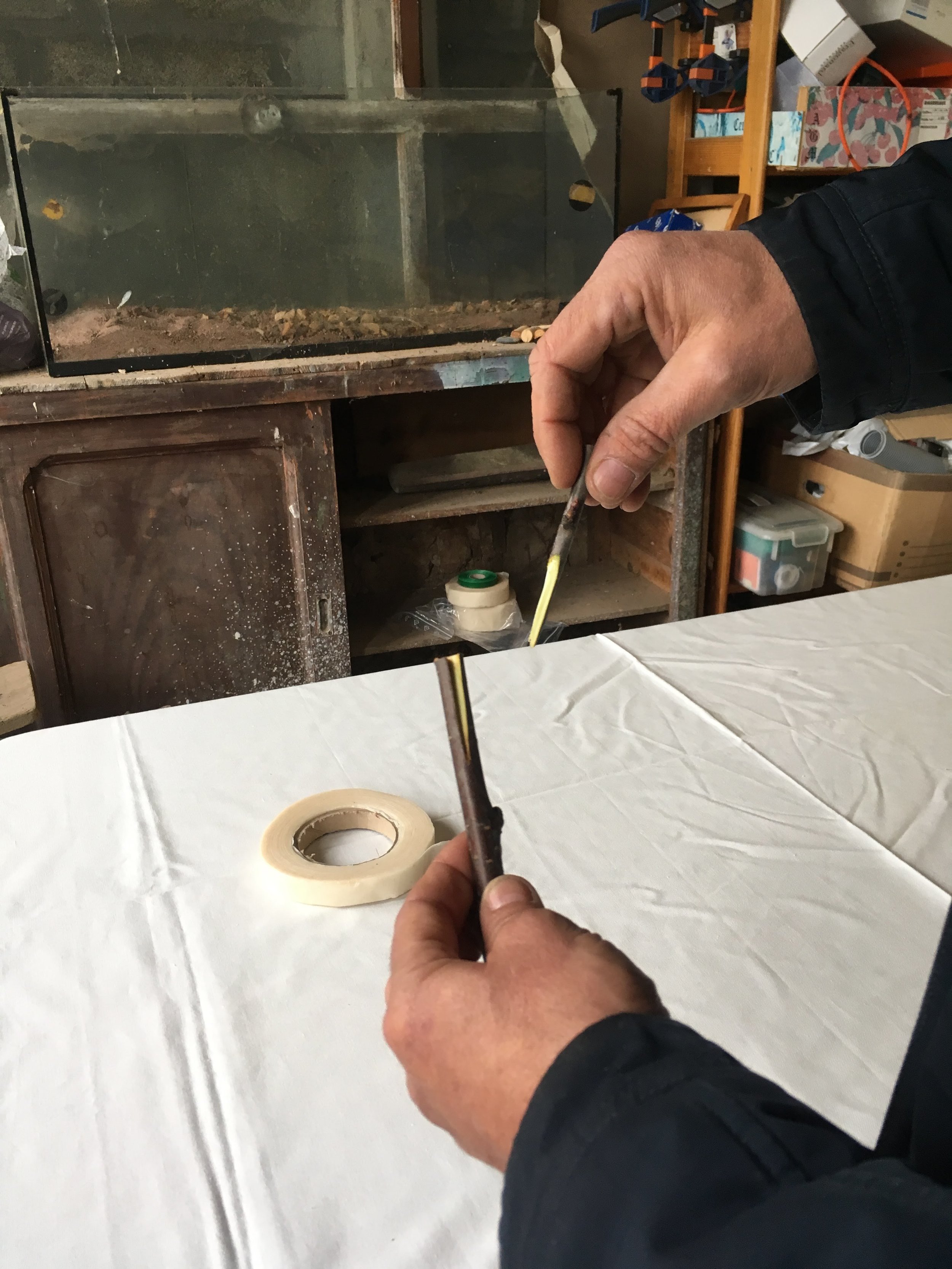 Wax, tape, equipment and consultancy for grafting — Wax and Grafts