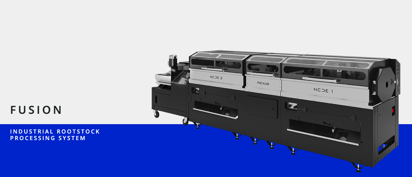 Discover rootstock and scion processing machines for grapevine nurseries