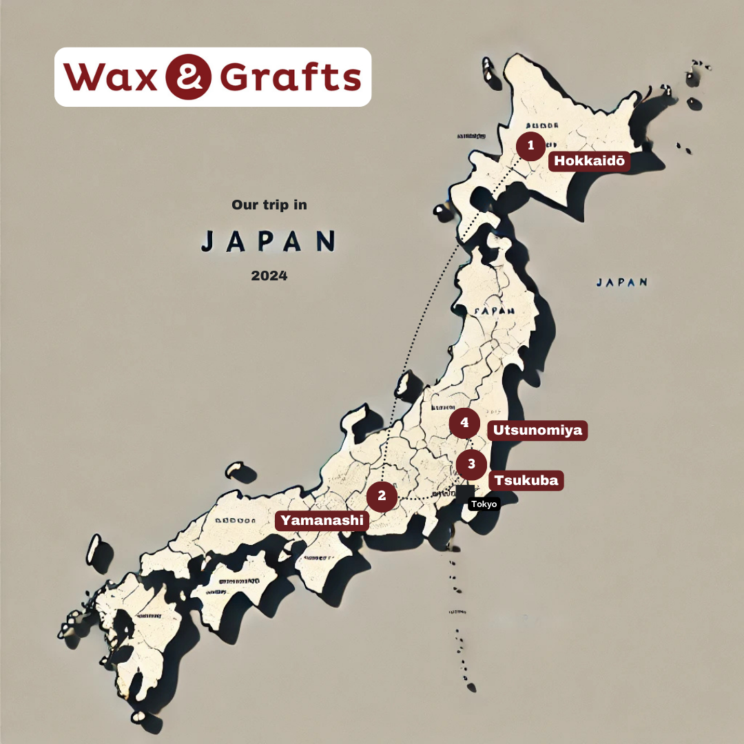 Sharing Expertise in Japan
