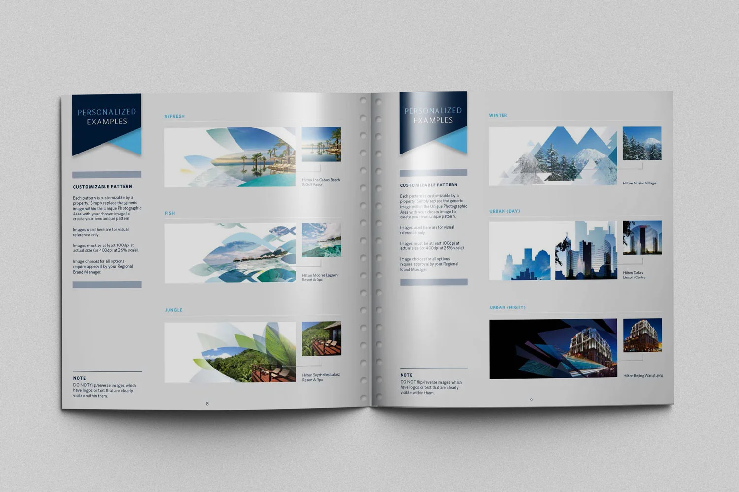 Van-Graphics-Spread-1.jpg