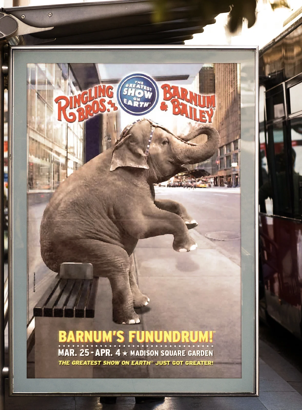 Elephant-Bus.jpg