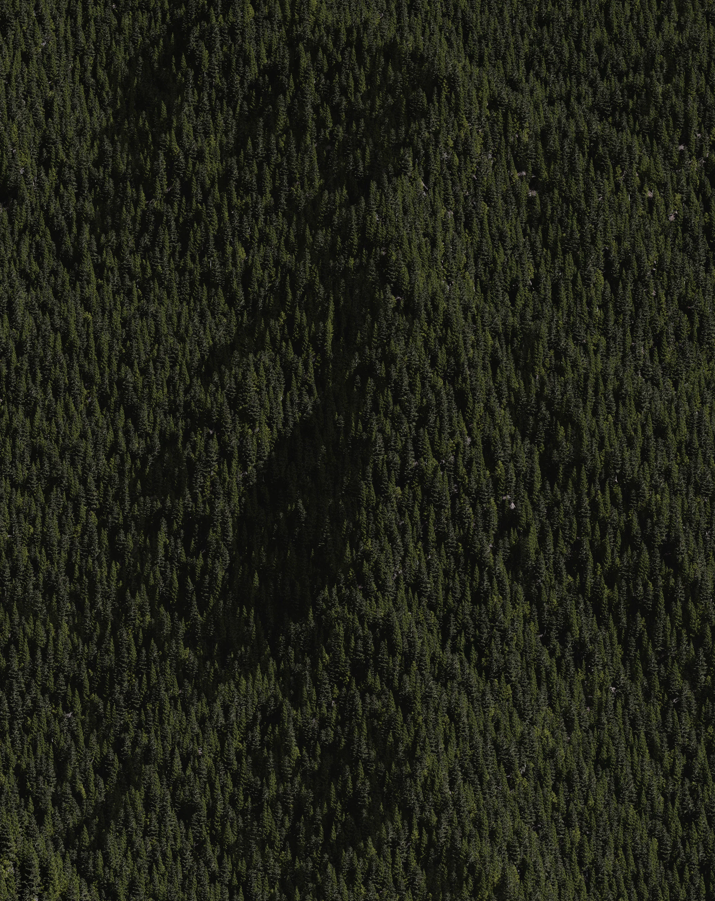 133664, de la série n, 2014. Personal work.