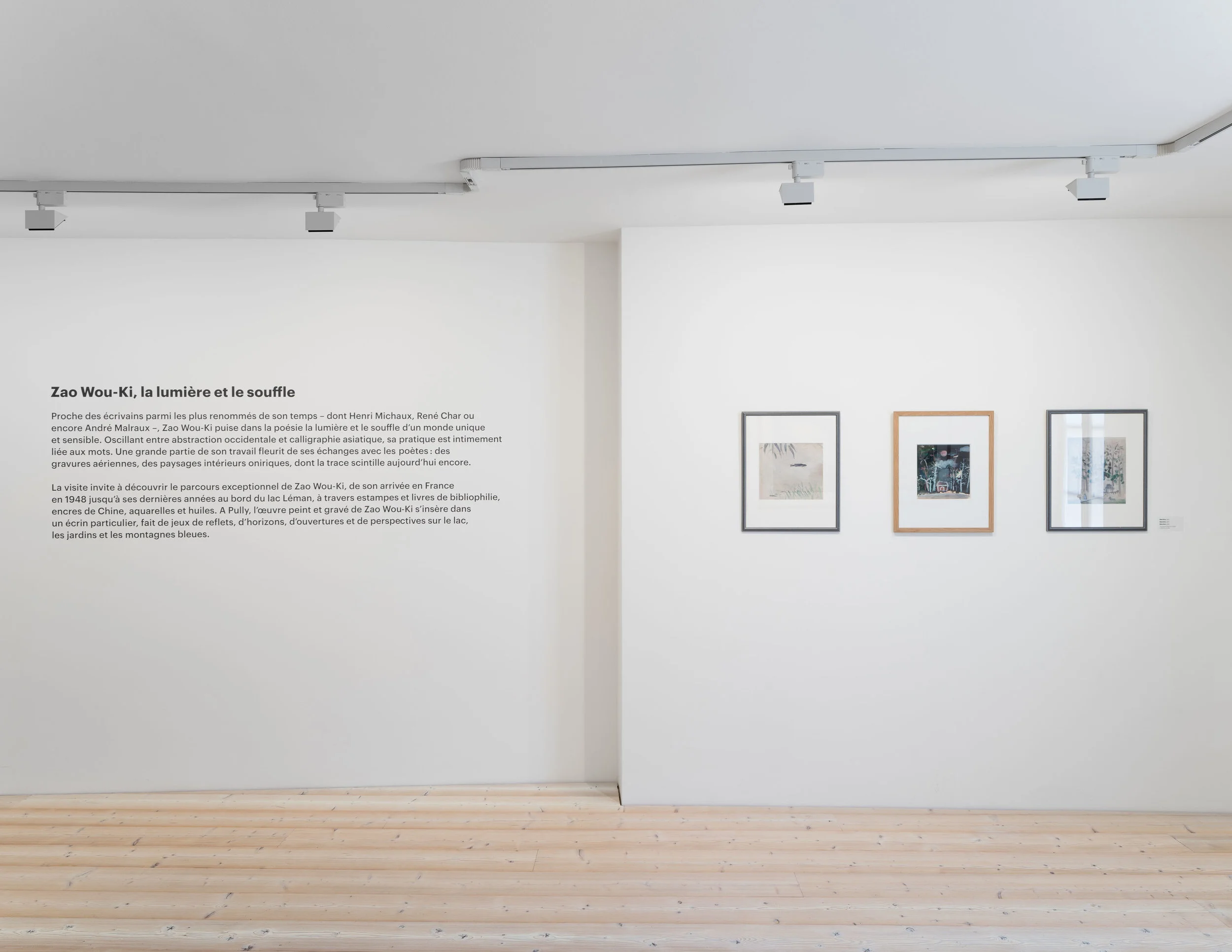 Exhibition Views for Musée d'Art de Pully, Switzerland.