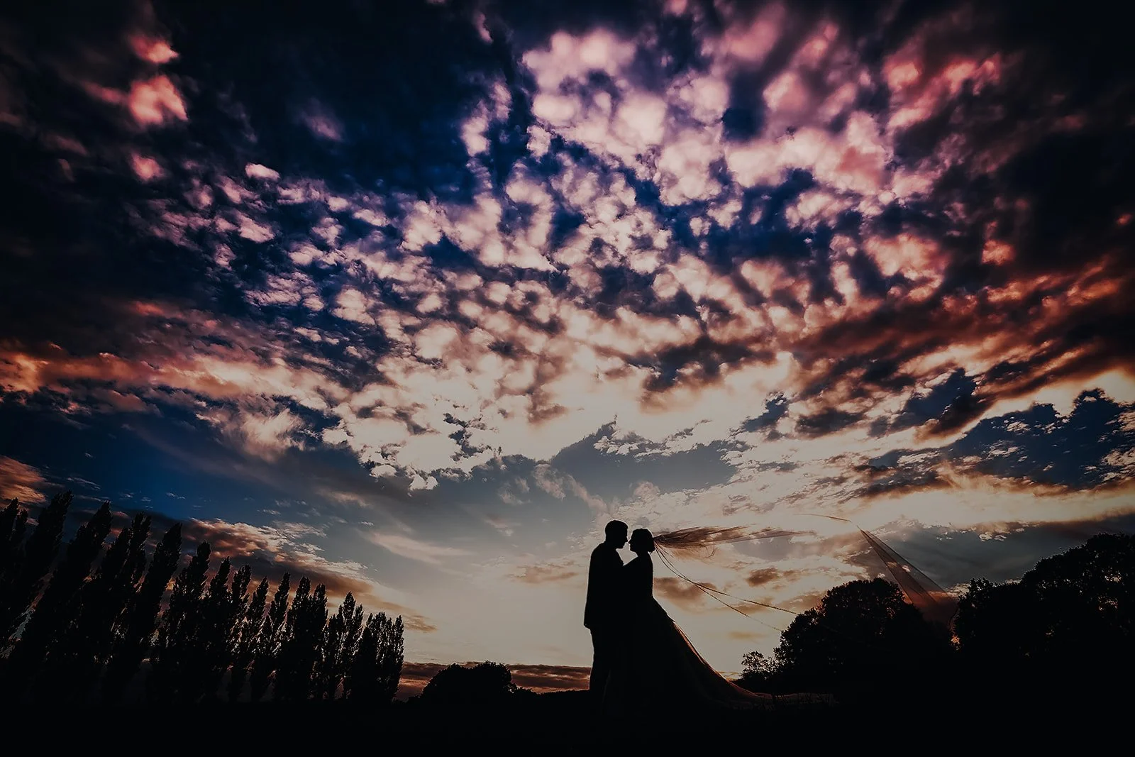 Photos (29 of 34).jpg