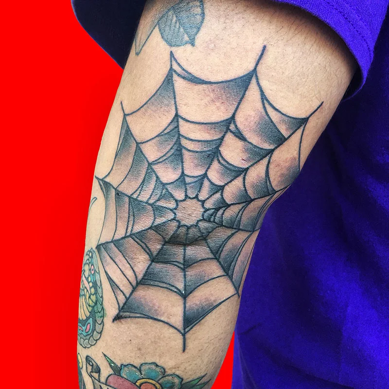 SamSpiderWeb.jpg