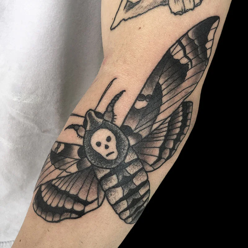 CadeDeathsheadMoth.jpg