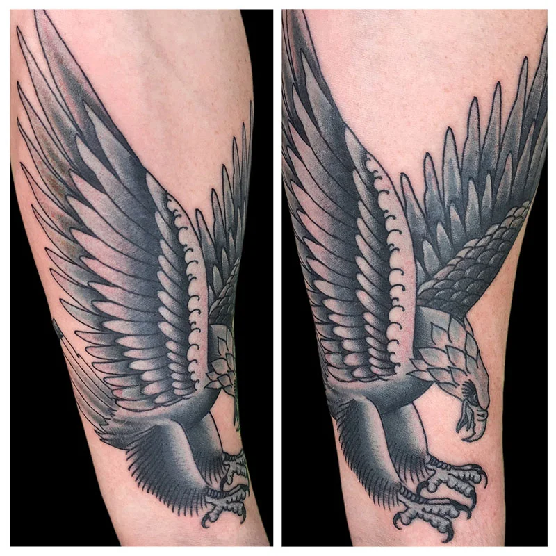 OpaqueGreyEagle.jpg