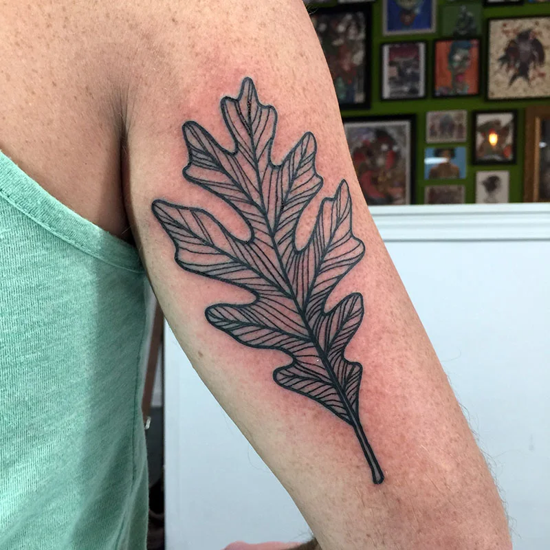 DallasOakLeaf.jpg