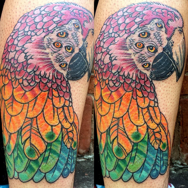 NicParrot.jpg