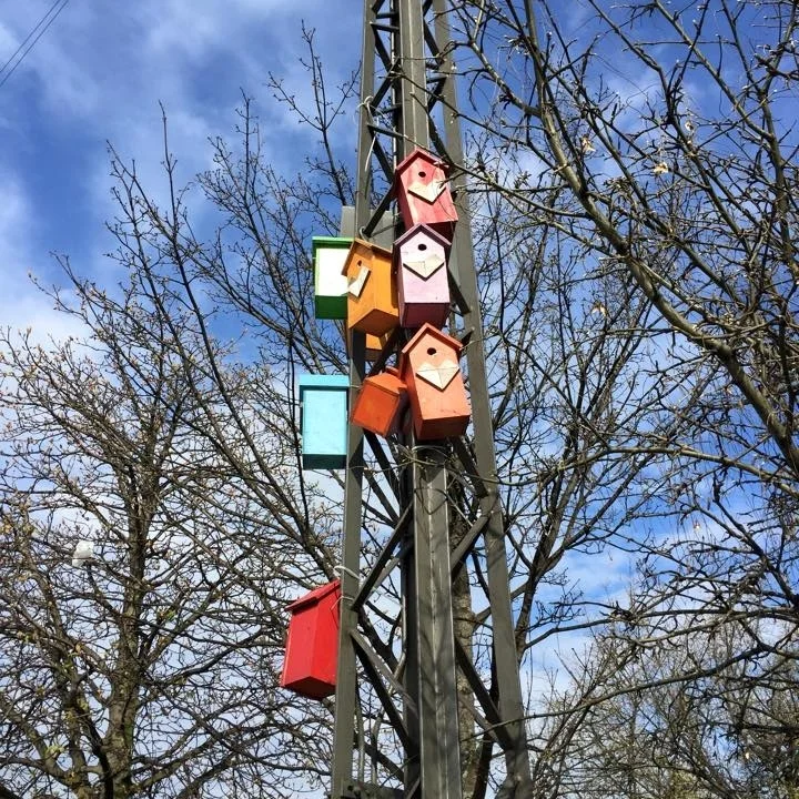 Colourful bird houses enliven the barren trees nearby.