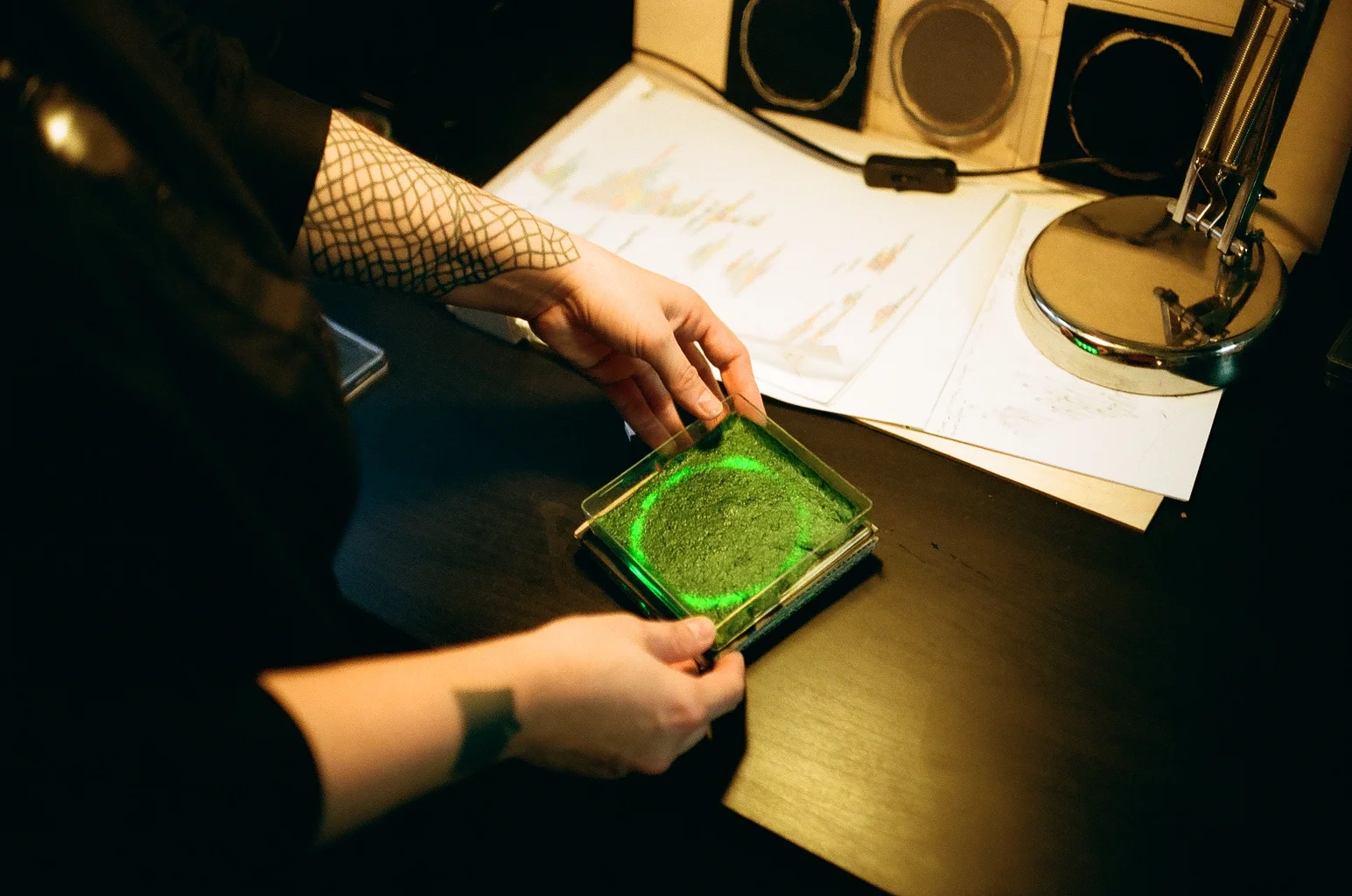 Curious Minds #2: Algae Cooking Class &amp; Dinner 