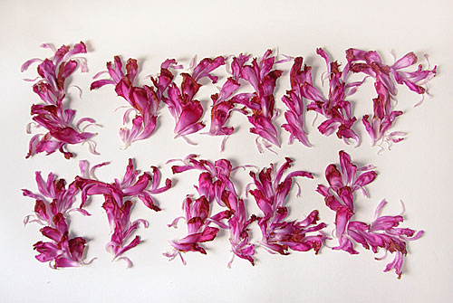 "i want it all" from "beyond pretty pictures" by marian bantjes