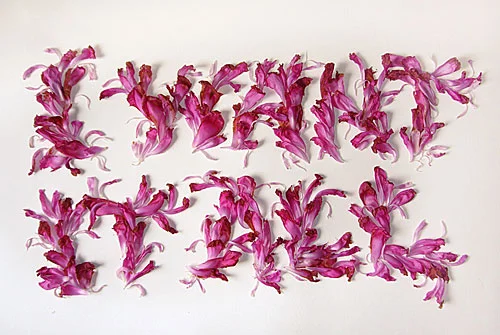 "i want it all" from "beyond pretty pictures" by marian bantjes