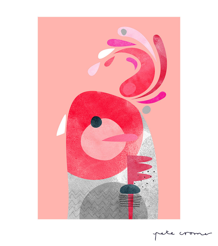 ganggang bird by pete cromer
