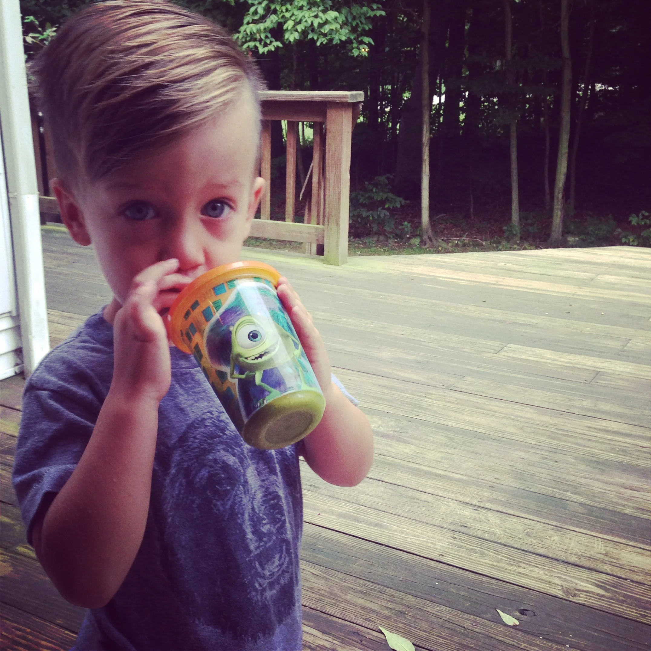 Daily Smoothie (Formula) :: Kid approved