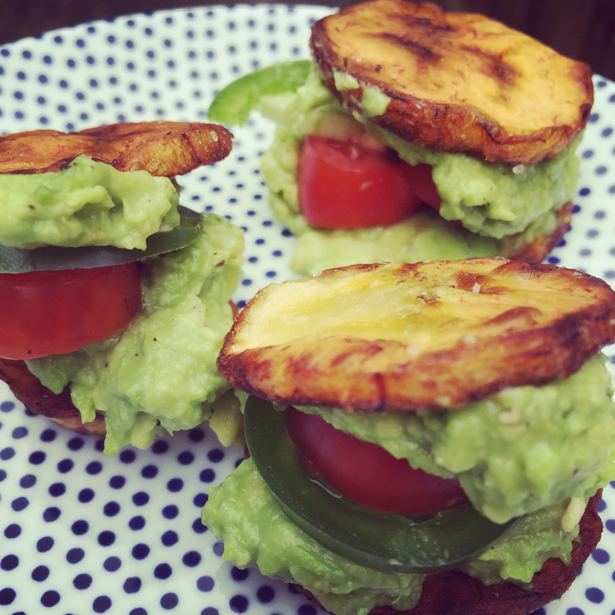 PLAN-WICH :: Plantain Bun Sandwich