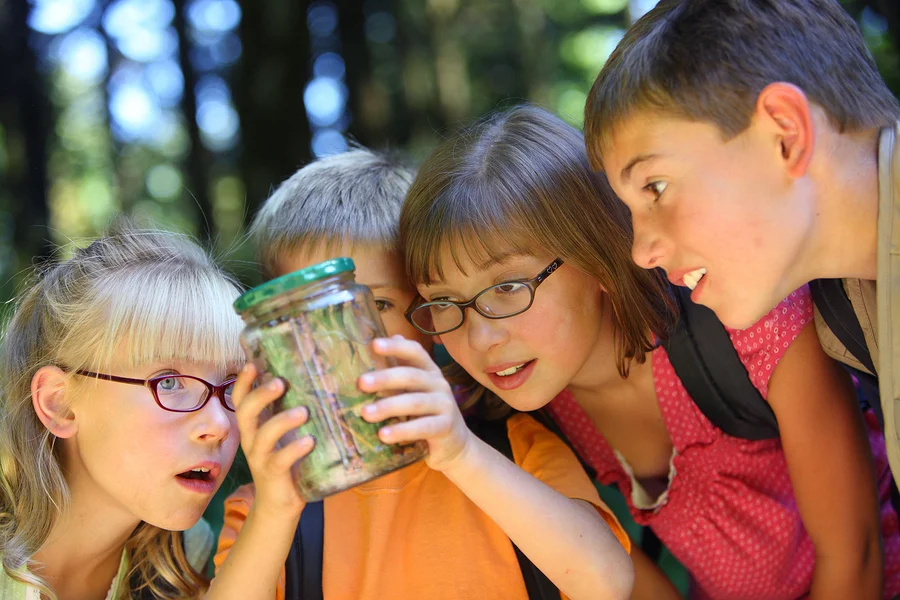Niños en una bosque escuela analizando la flora