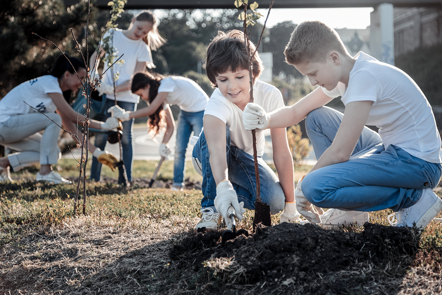 Aprendizaje en el servicio (service learning)