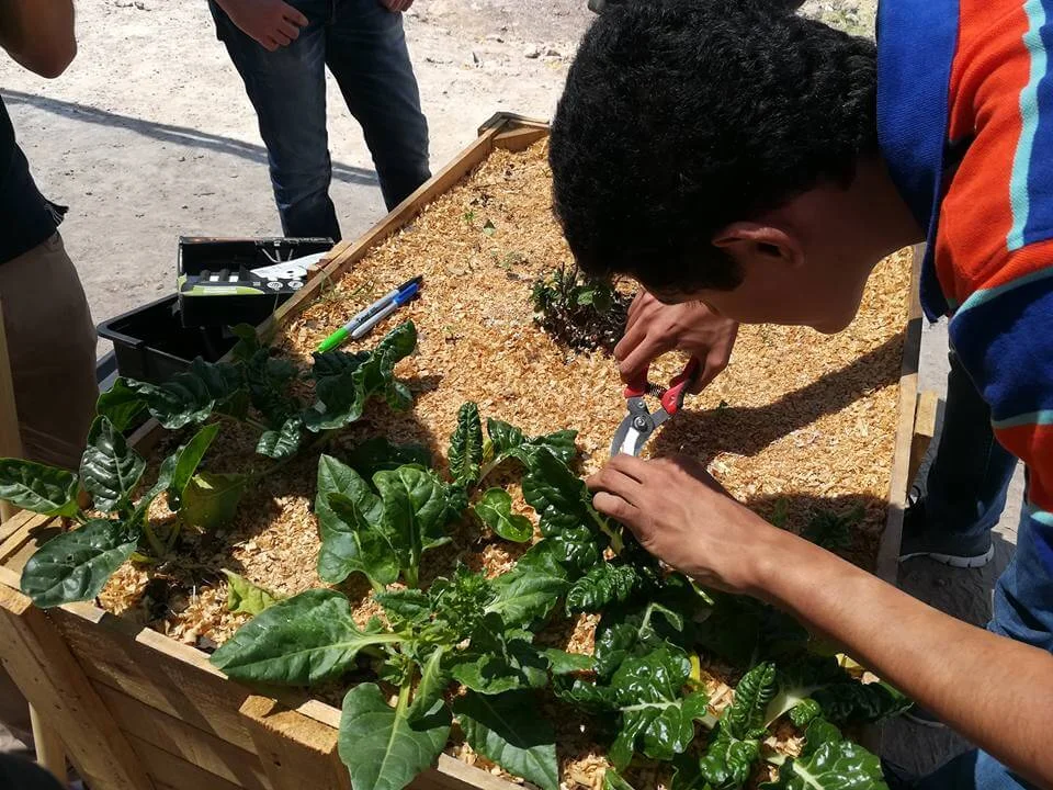 Redescubriendo los jardines escolares1.jpg