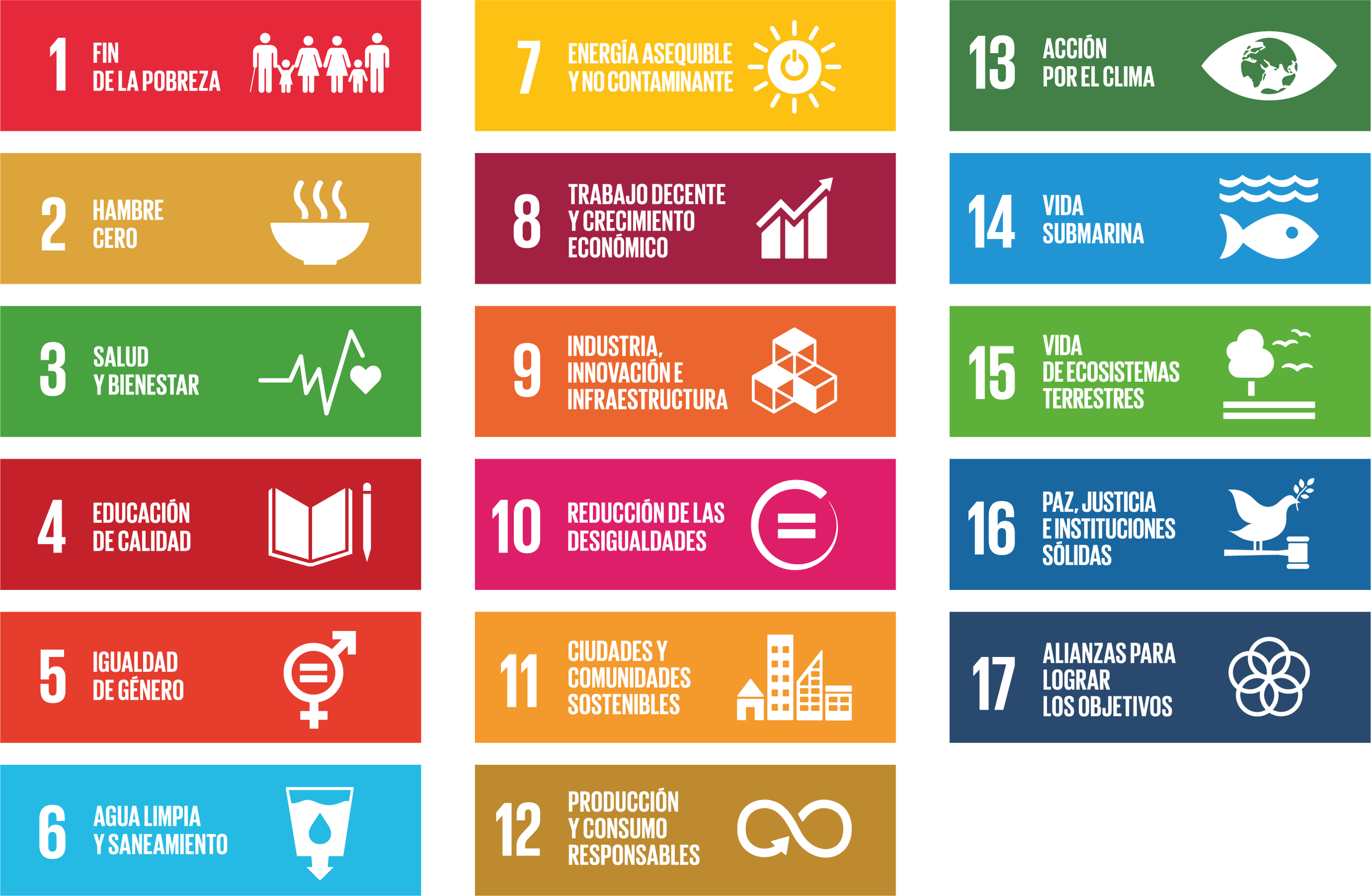 Figura 1: Objetivos de Desarrollo Sostenible de la Agenda 2030