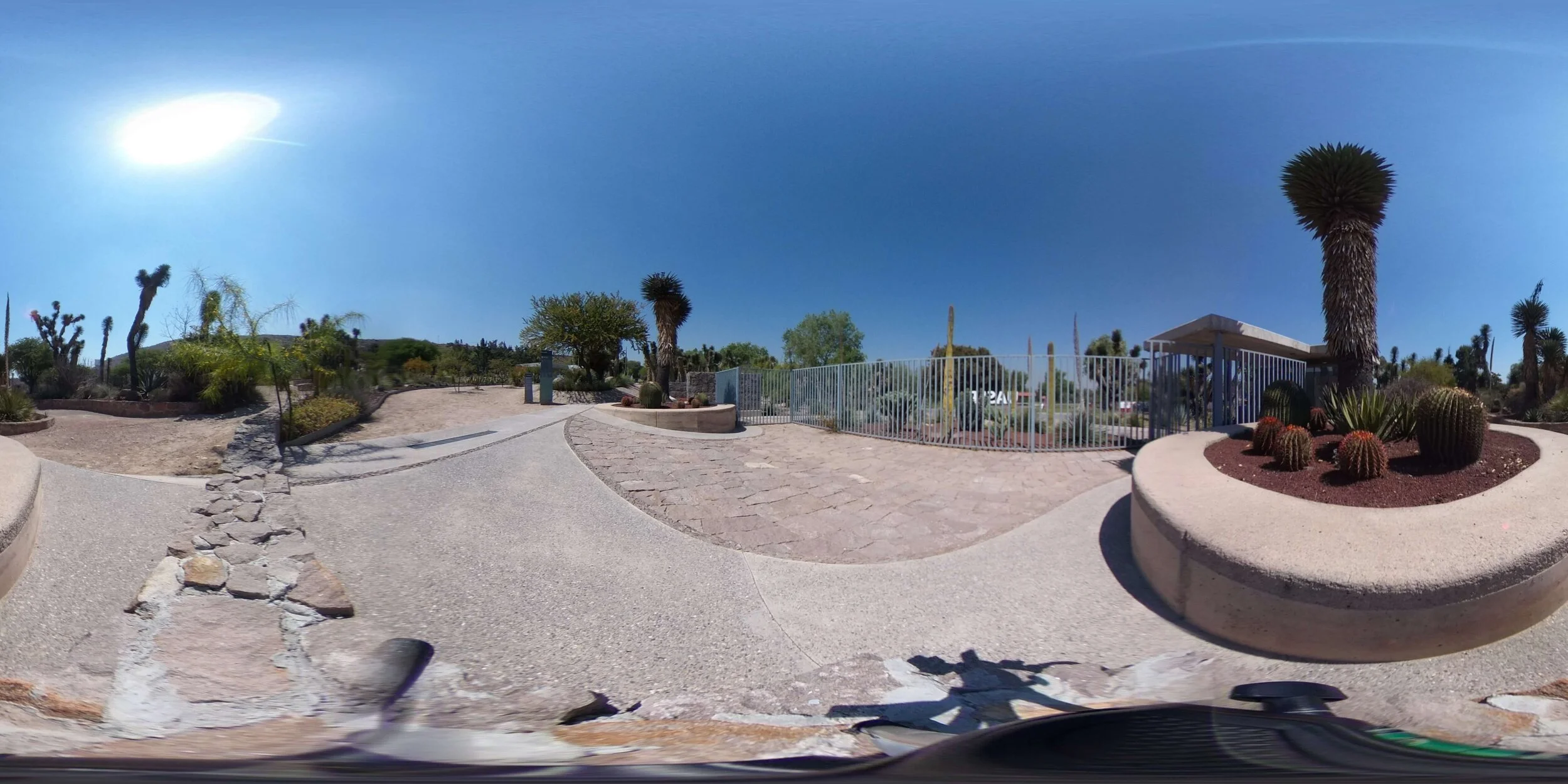Jardín botánico _El Izotal_ 1.jpg