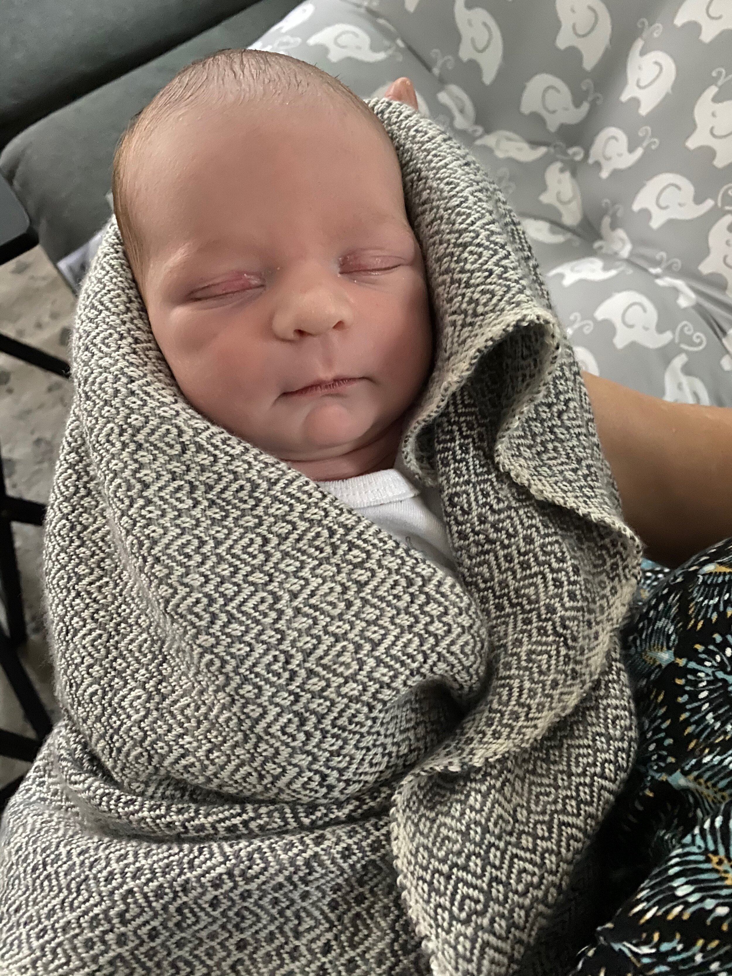 Introducing ... Jack!