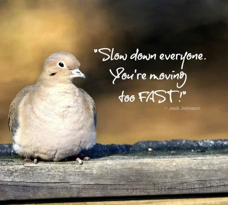 Slow-Down-Quote-One-Time-Through.jpg