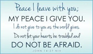 15279-john-14-27-niv-800x400.jpg