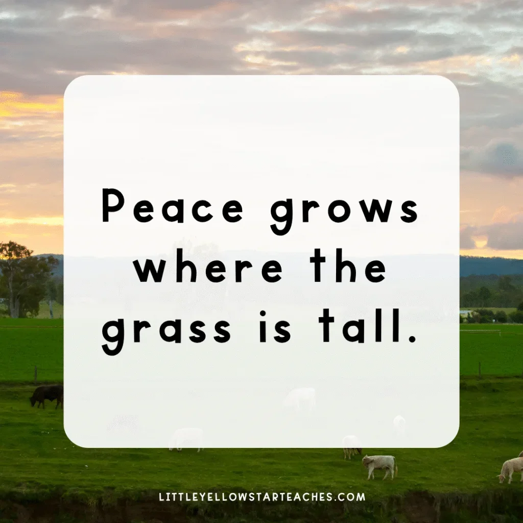 country-life-for-kids-pin-31-1024x1024.png.webp