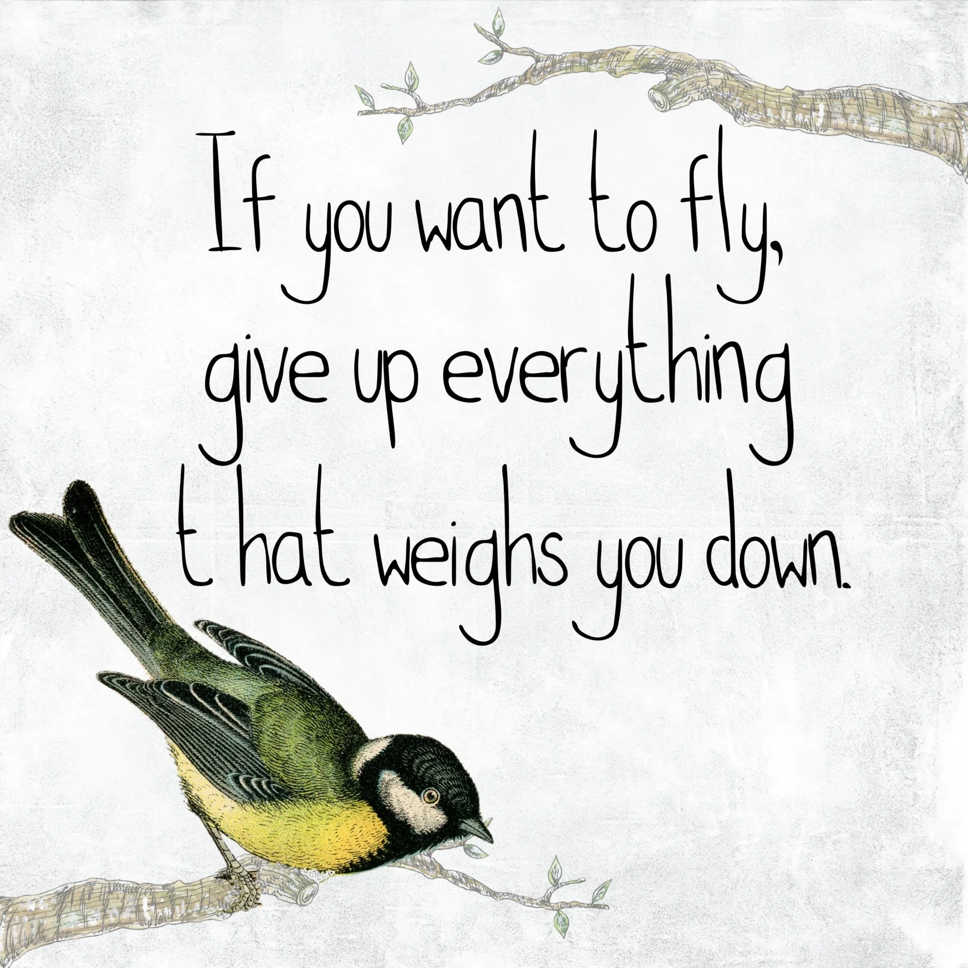 inspirational-bird-quote-freedom.jpg