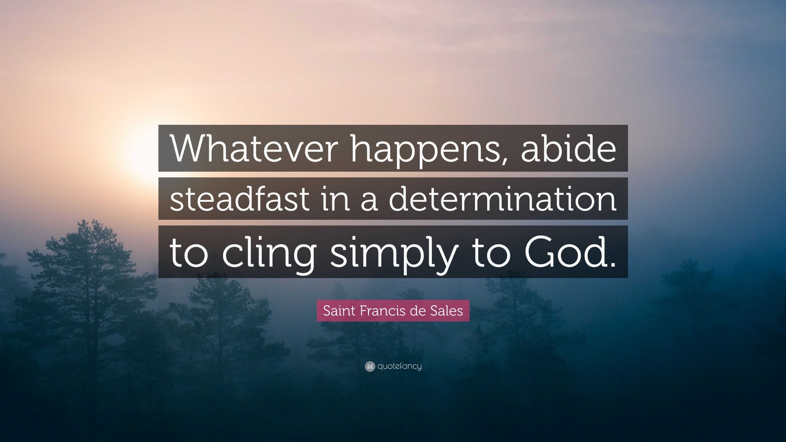 2169026-Saint-Francis-de-Sales-Quote-Whatever-happens-abide-steadfast-in-a.jpg