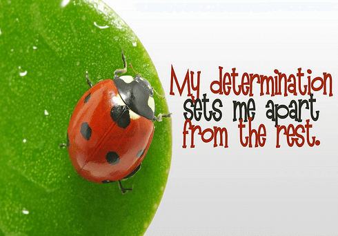 affirmation.png