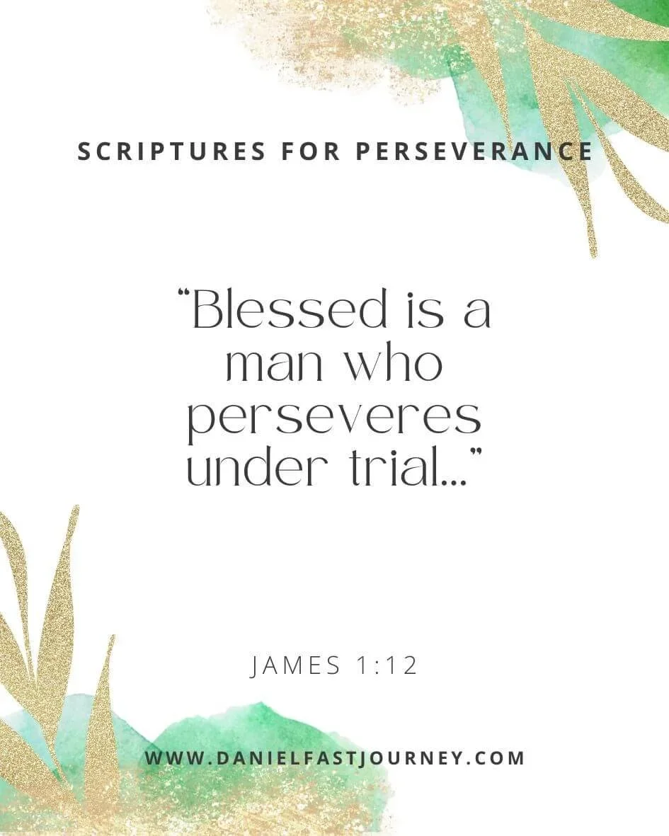James+1-12.jpg.webp