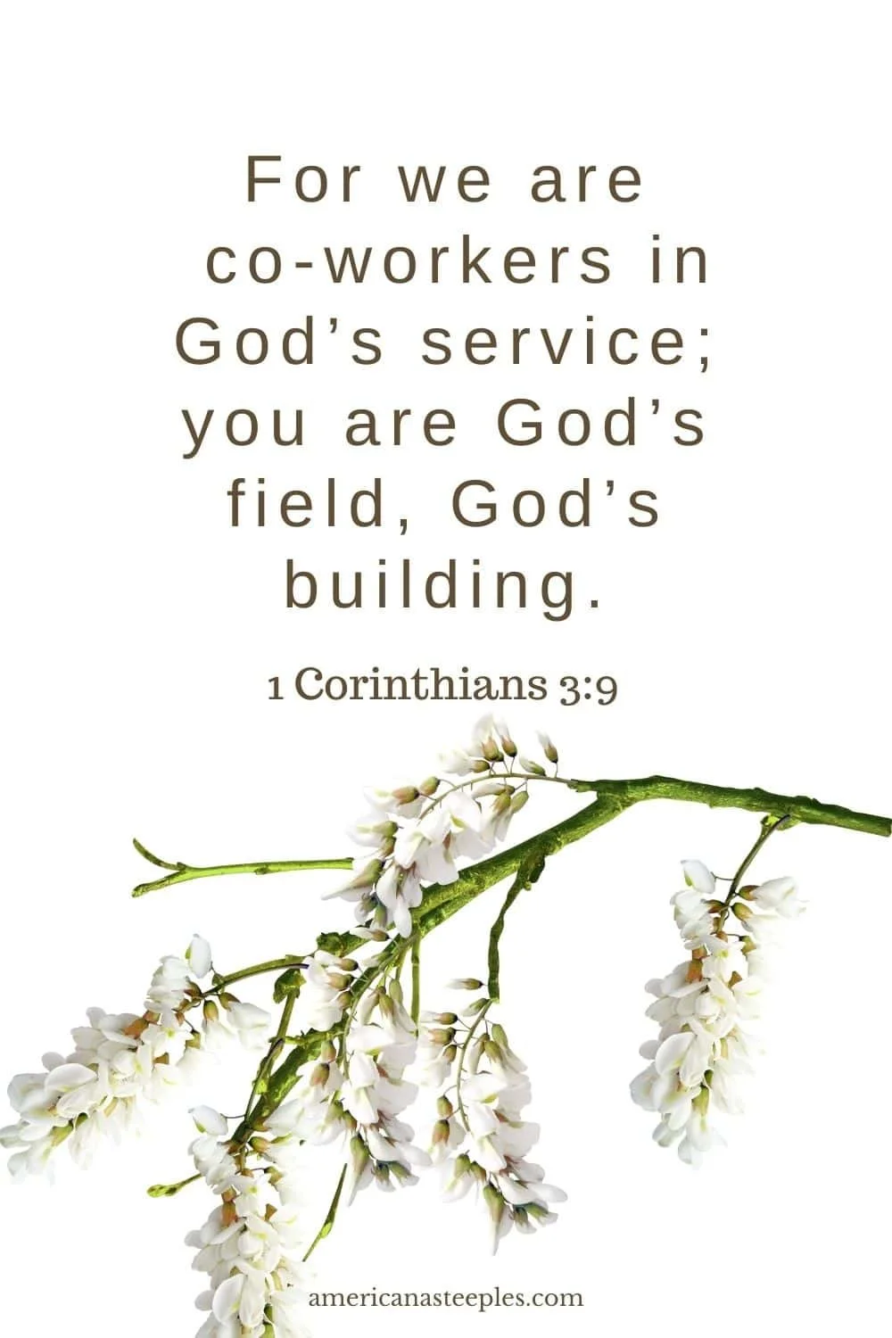 coworkers-for-God.jpg