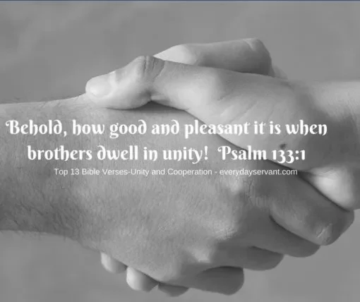 Top-13-Bible-verses-Unity-and-cooperation-510x428.jpg.webp