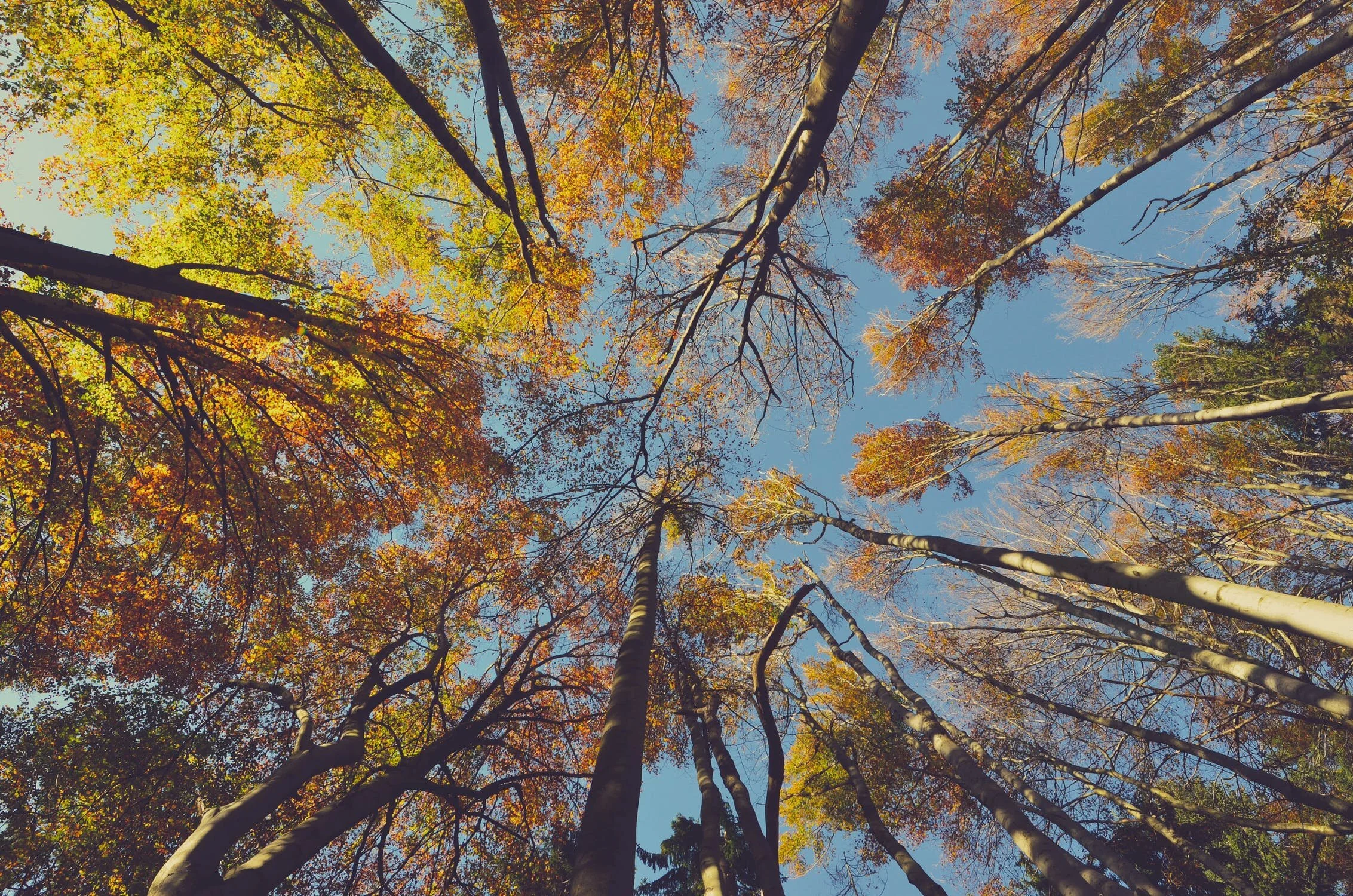 A is for Autumn & Air