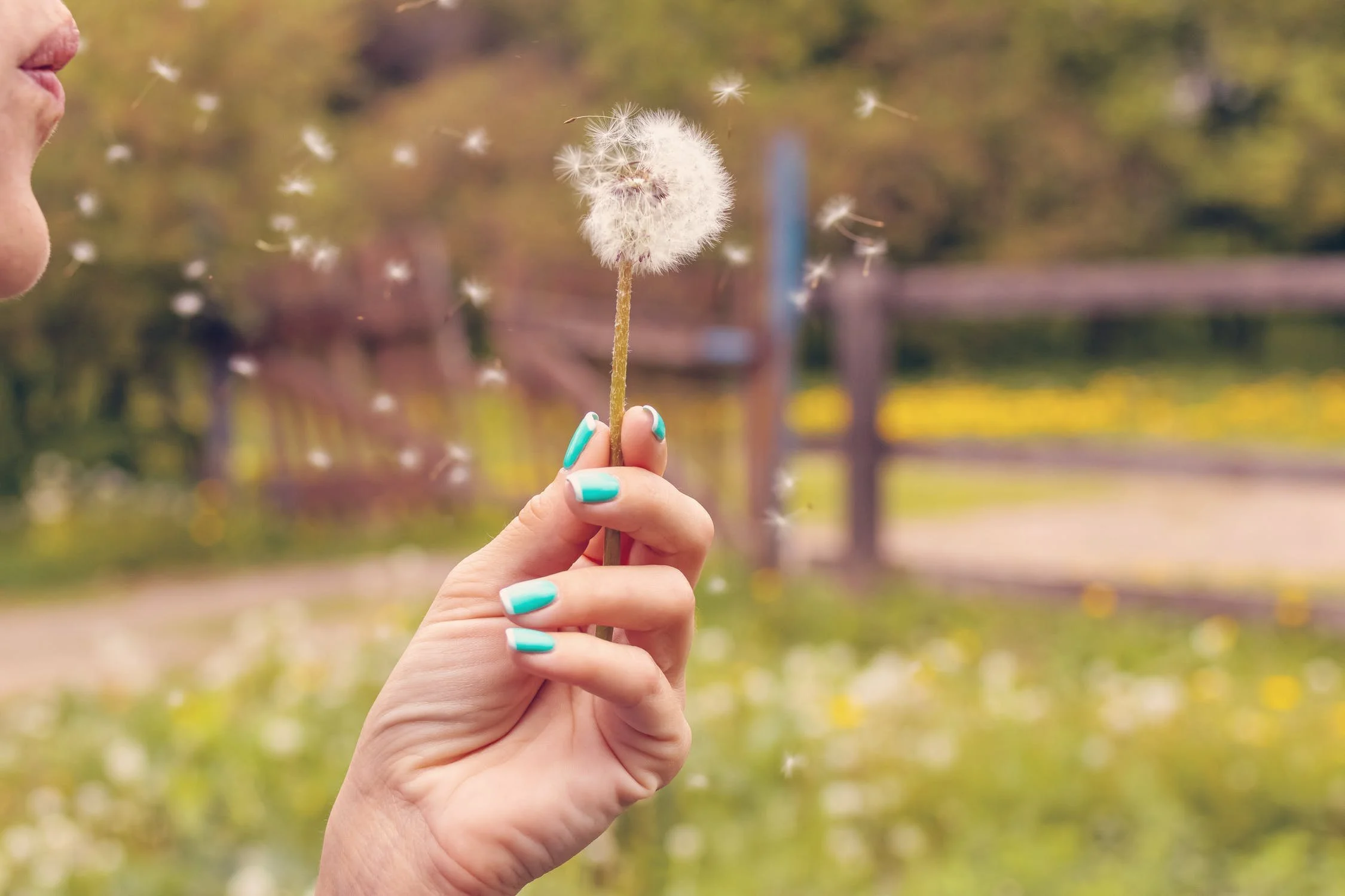 Managing Springtime Allergies with Ayurvedic Tips