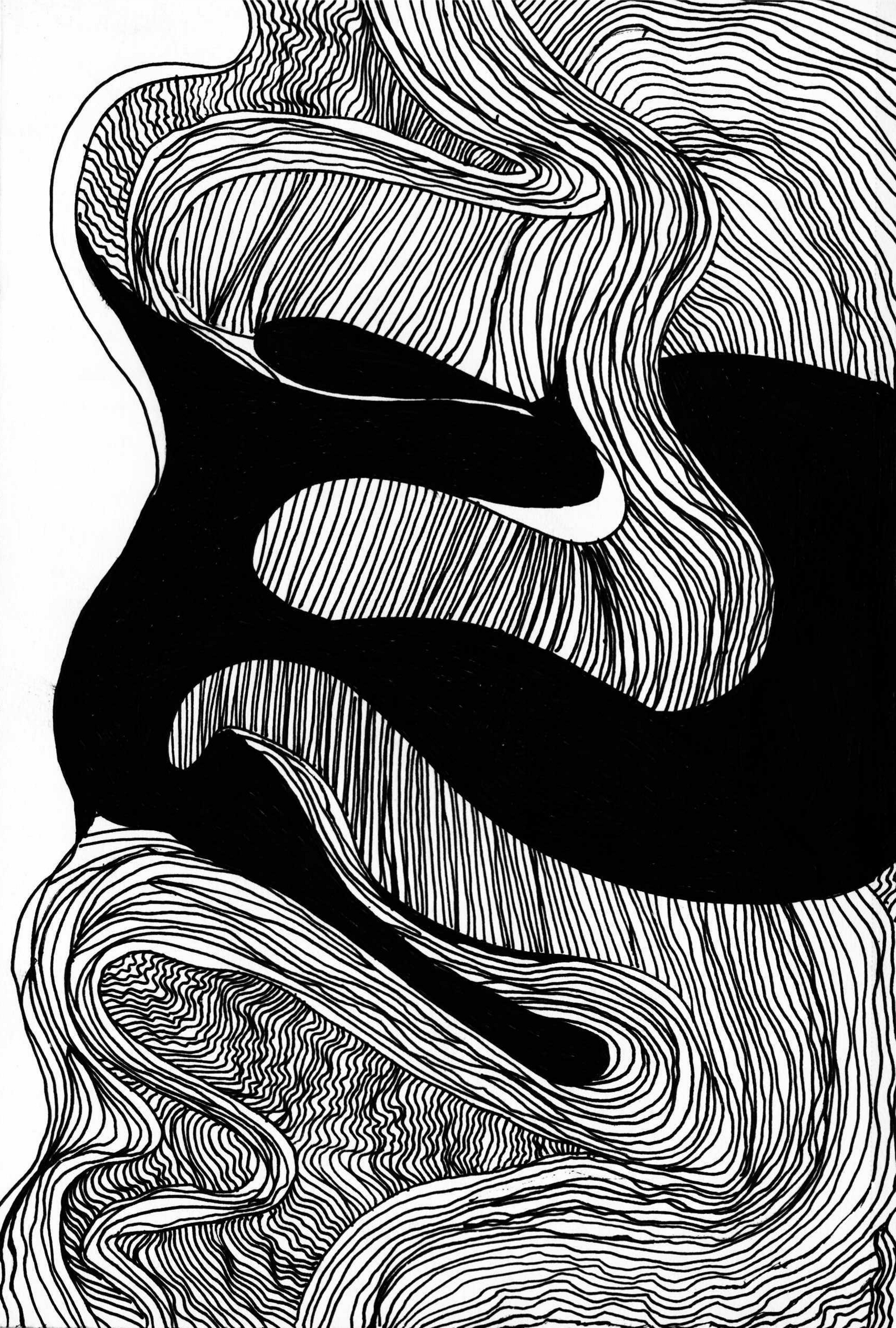 ink 5 - vermiculate PRINT.png