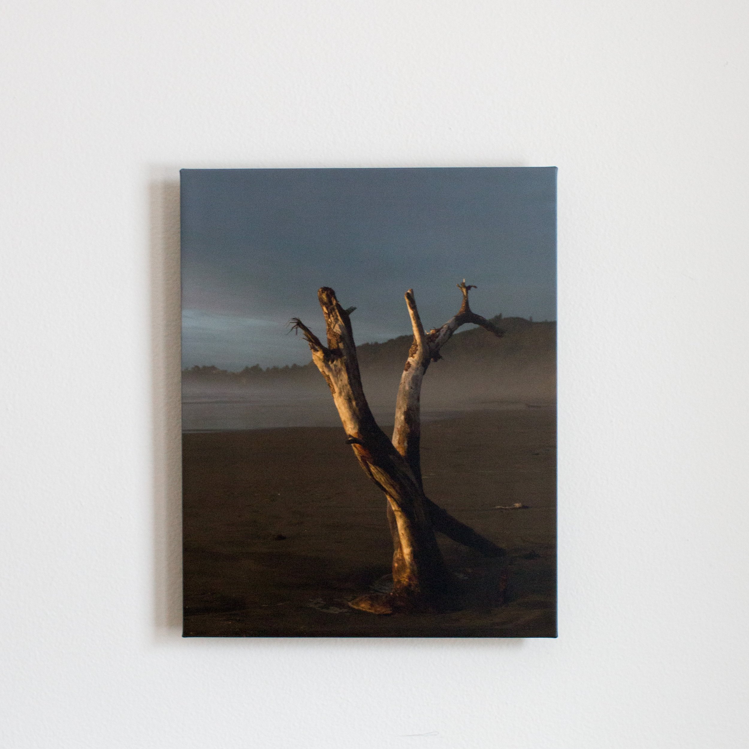 Sienna-Renee-Photography-Oregon-Coast-Print-1478.jpg