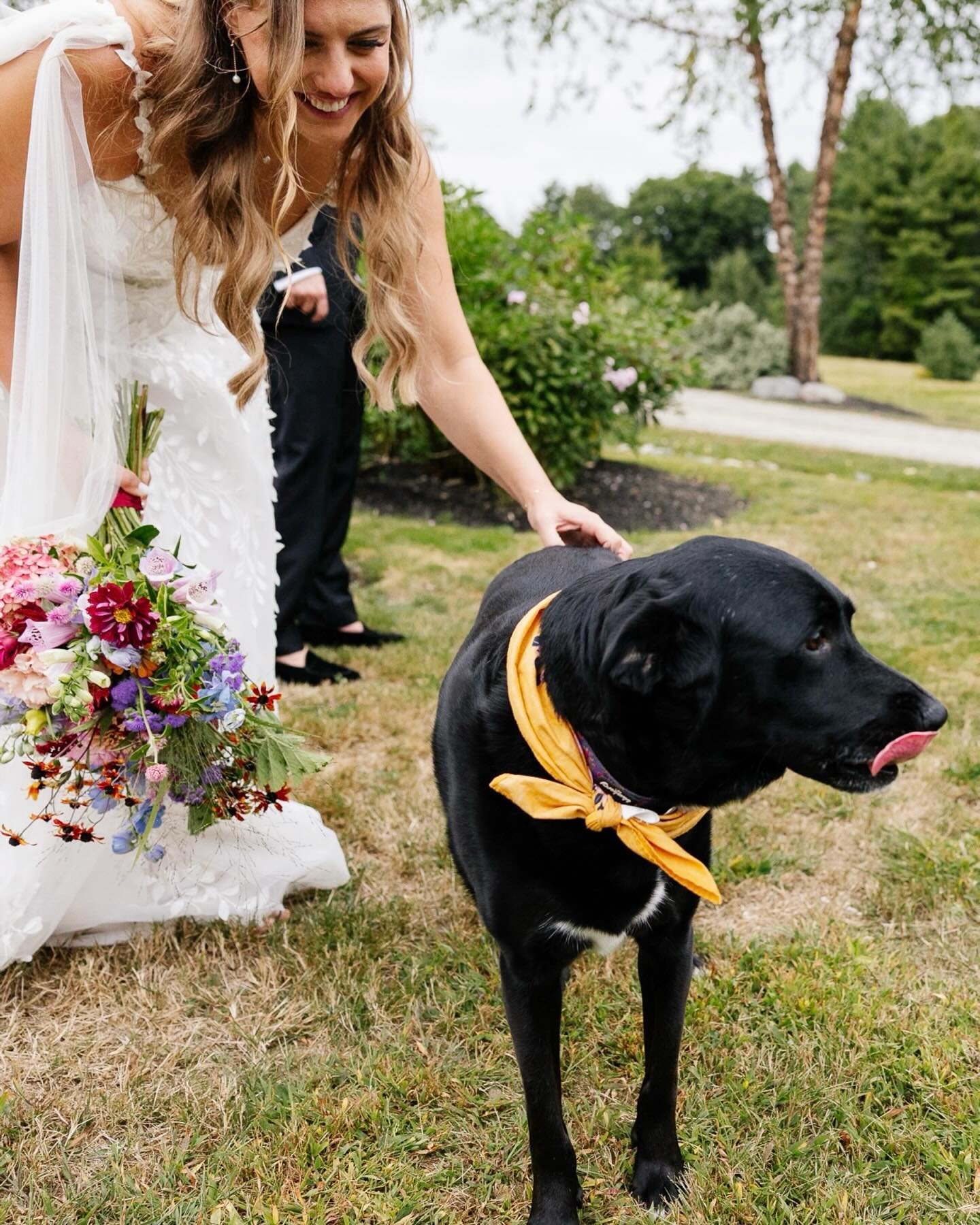 Can you have an intimate wedding with 100+ guests?

Aaaabsolutely. Lauren &amp; Rusty celebrated their wedding day with about 120 of their closest friends and family on a beautiful September day at Marianmade Farm in Wiscasset, Maine.

The feeling fr