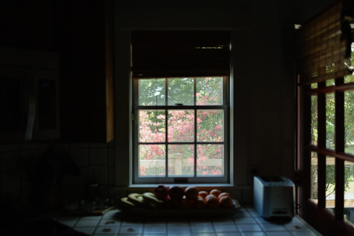 The kitchen window of a childhood home on a wedding day &mdash; the way the bush outside looks in June, the way the light hits the fruit at a certain time of day. All the familiar details of a home, somehow more alive on a wedding day.

Photographed 