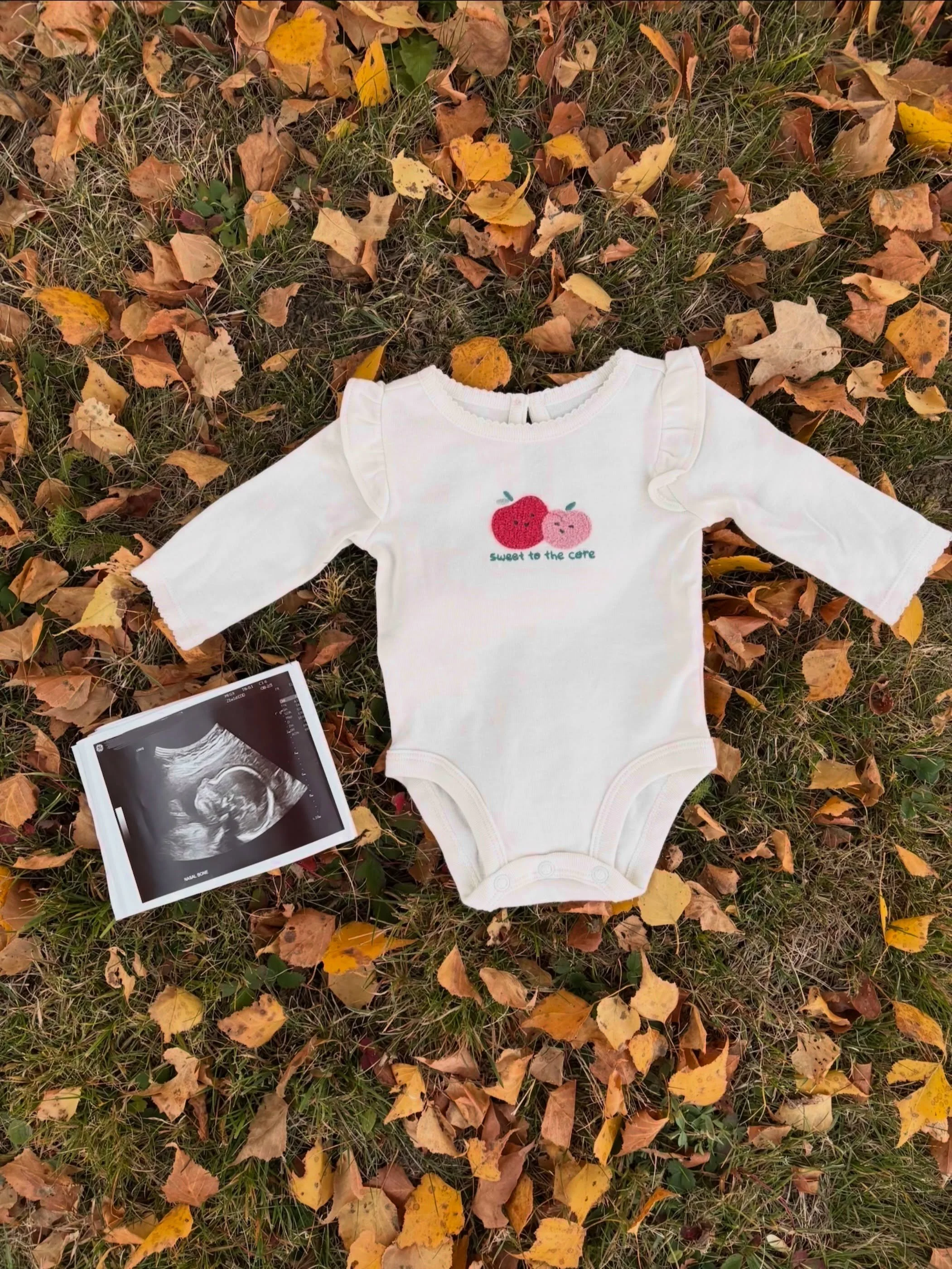 In other news&hellip;! I&rsquo;ve had a lil sidekick keeping me company on all of your wedding days and sessions this summer + fall 🥰Baby Lizotte coming March 2027!
