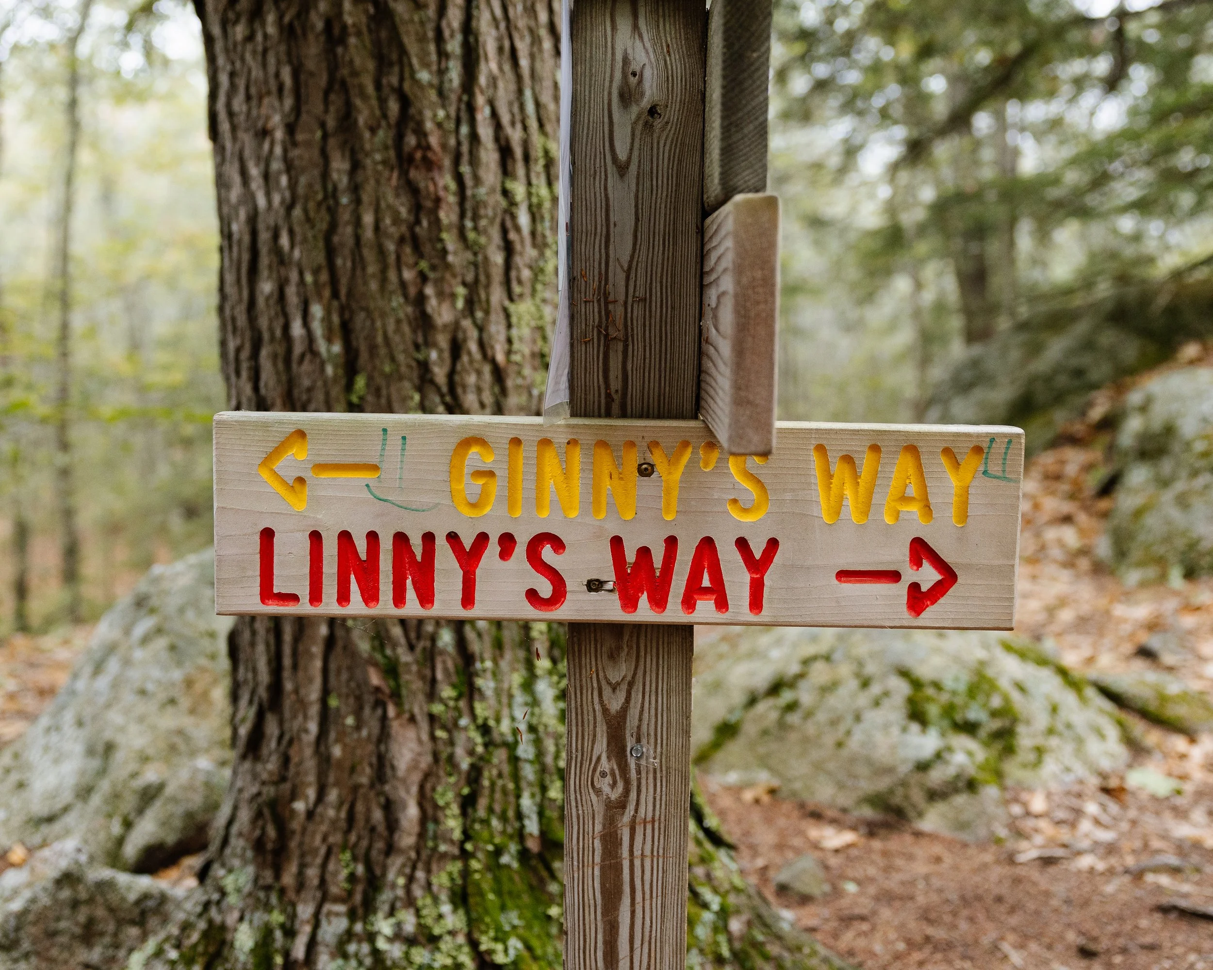 A sign at a trail head during a hike on an intimate wedding day in Maine. Photography by Sienna Renee Photography.