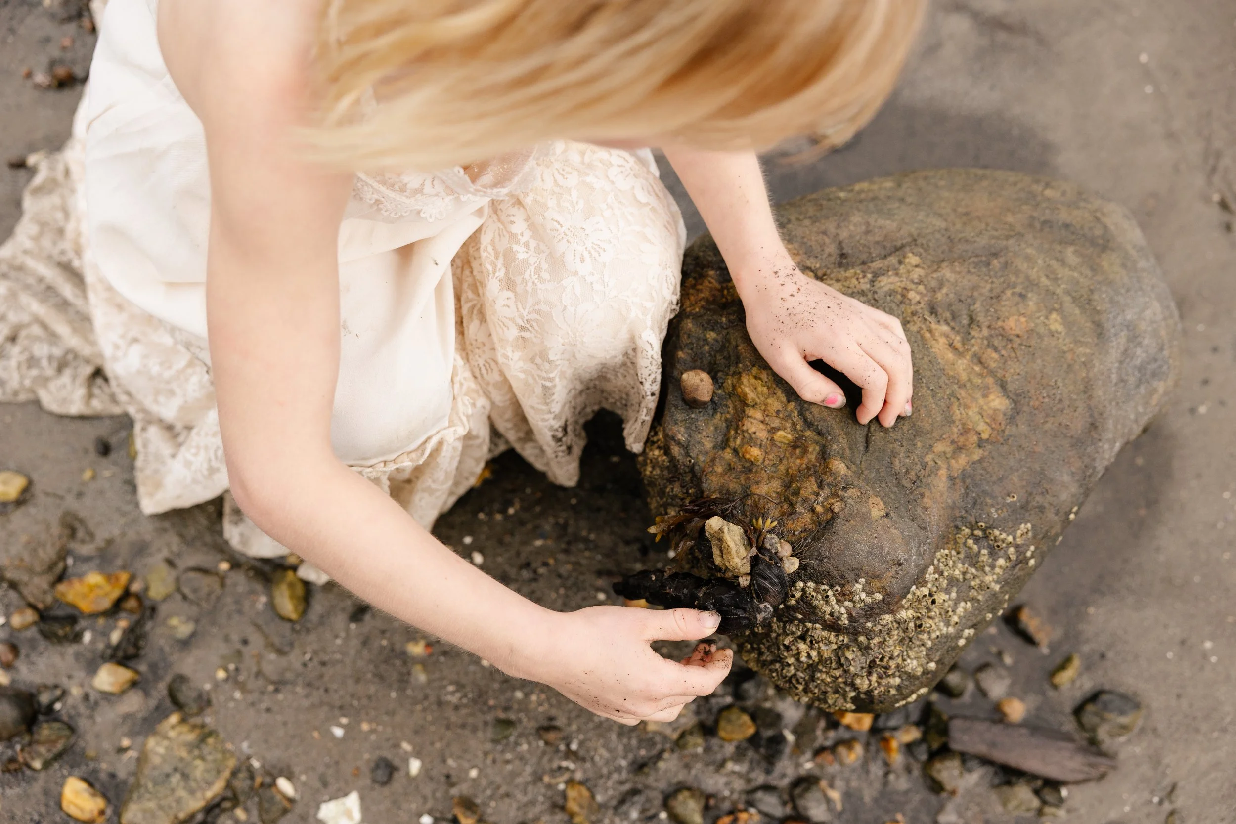 Details of a girl's hands while she touches periwinkles during a visit to Freeport, Maine. Photography by Sienna Renee Photography.