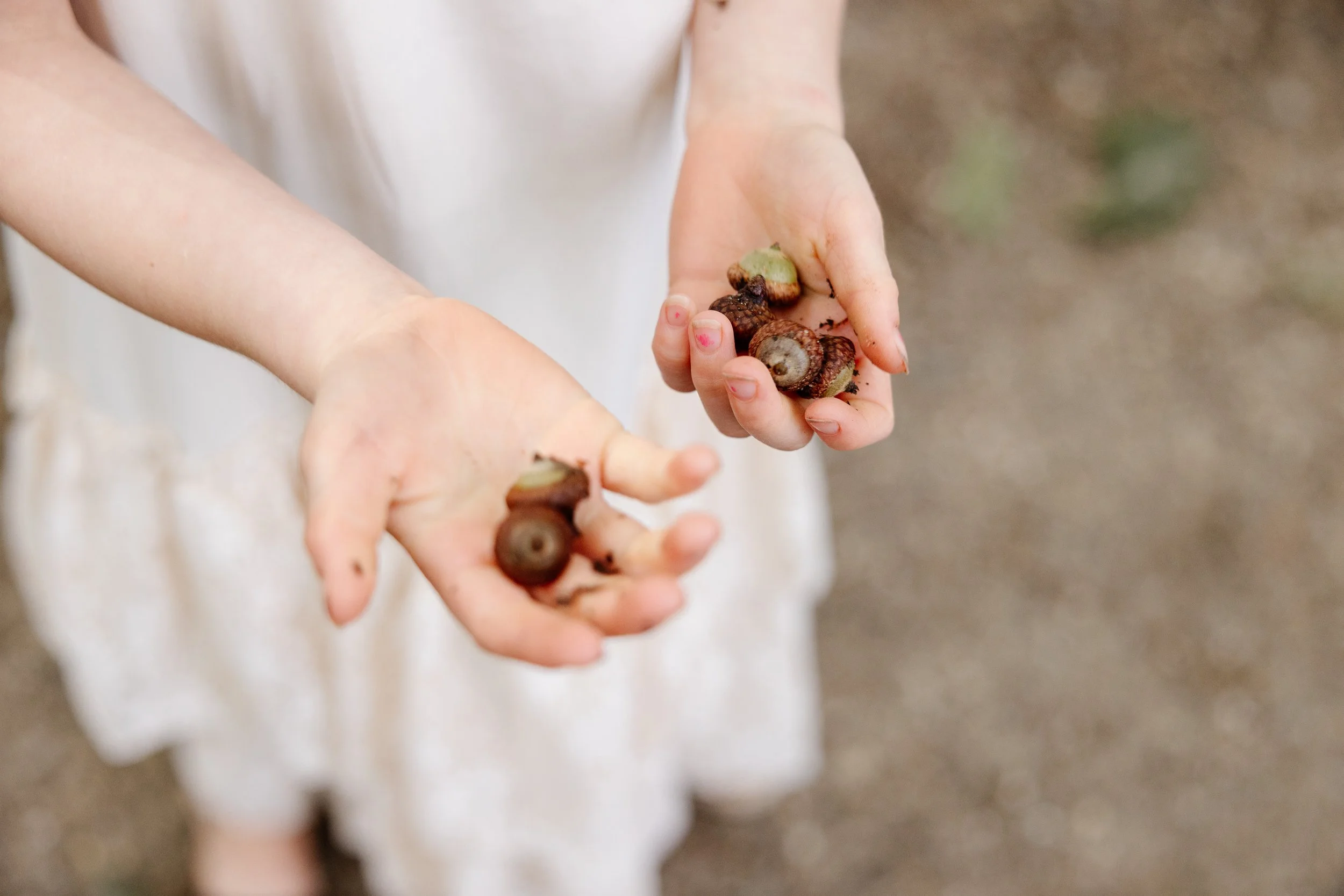 Details of a kid holding acorns during a walk in the woods in Maine. Photography by Sienna Renee Photography.